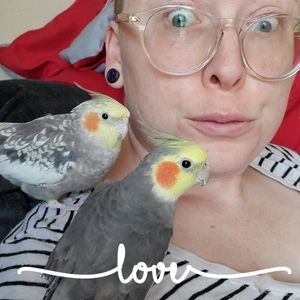 Meet your Posher, Emily